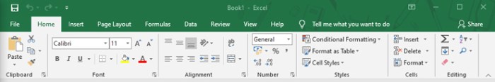 Menu home pada microsoft excel