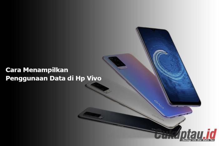 Cara melihat penggunaan data di hp vivo