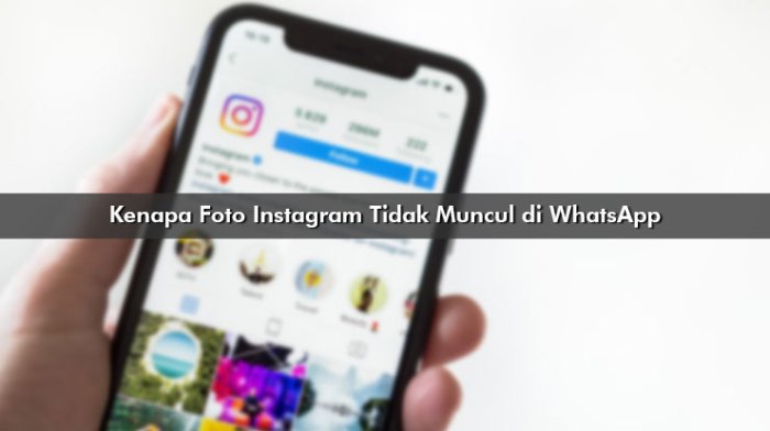 Kenapa foto instagram tidak muncul di whatsapp