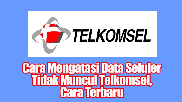 Data seluler tidak muncul di xiaomi