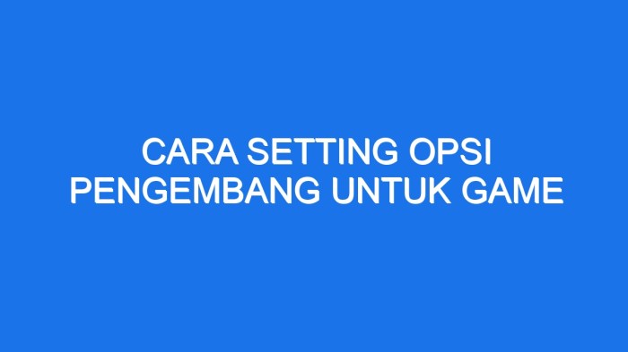 Setting opsi pengembang untuk game