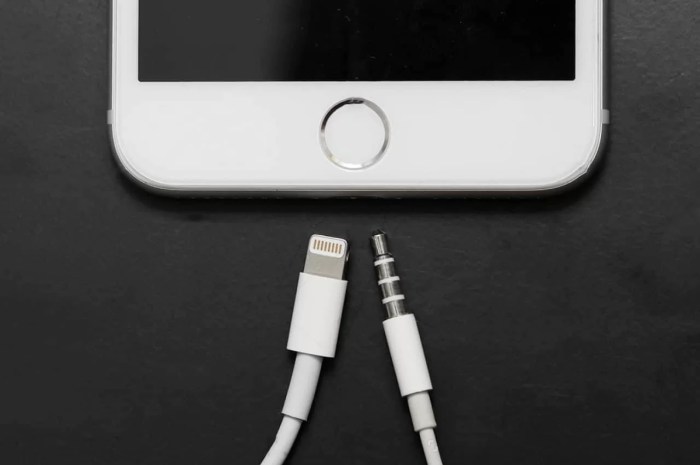 Biaya ganti port charger iphone