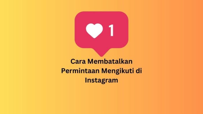 Permintaan mengikuti instagram