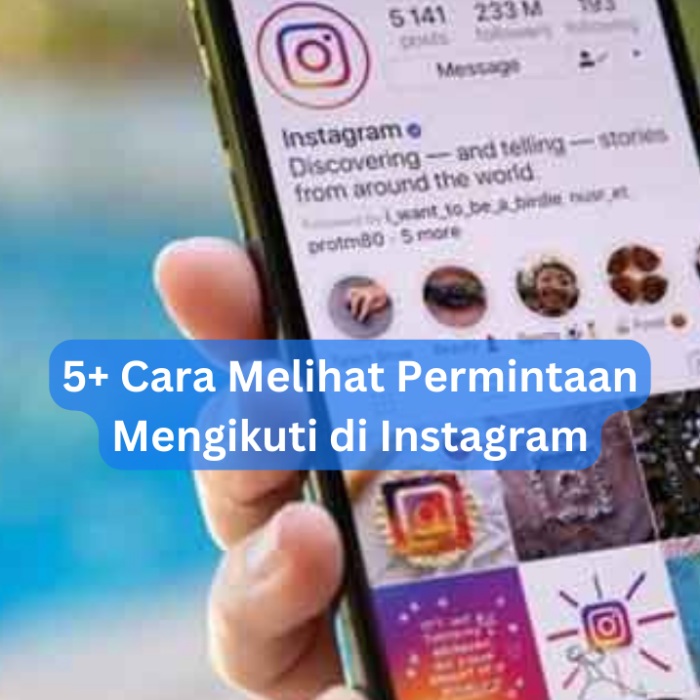 Permintaan mengikuti instagram