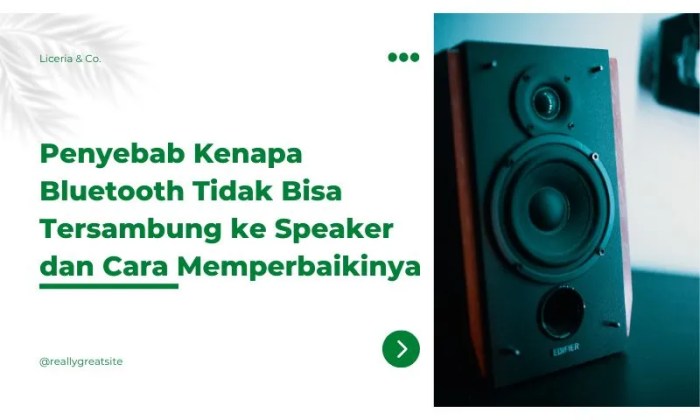 Kenapa bluetooth tidak bisa tersambung ke speaker