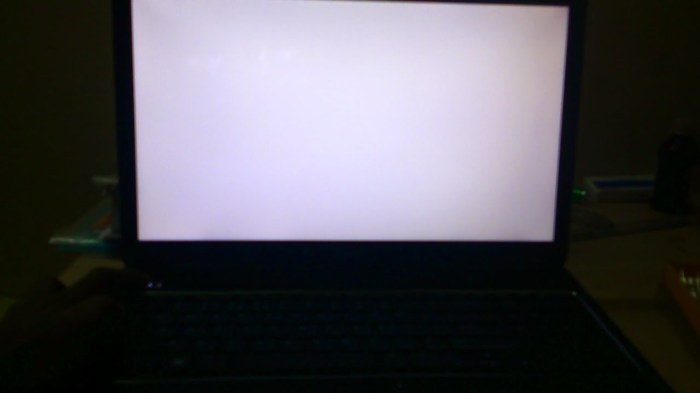 Bintik putih pada layar laptop