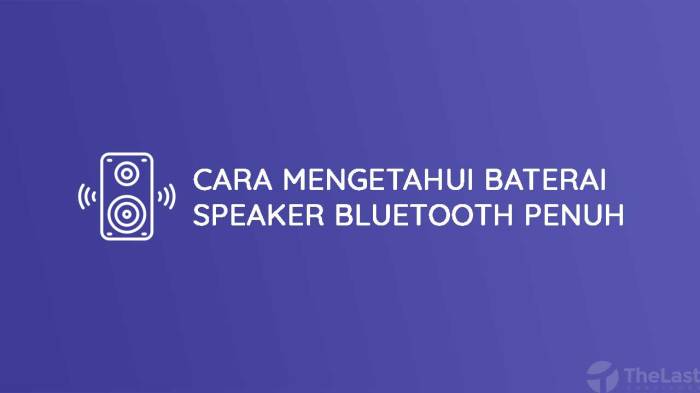 Cara mengetahui baterai speaker bluetooth penuh