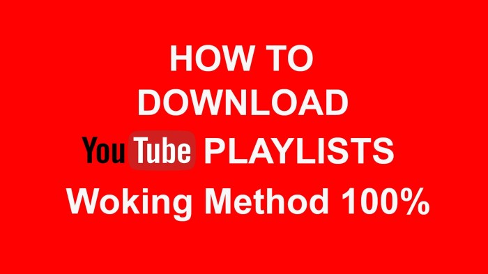 Download playlist youtube idm