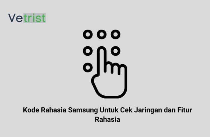 Kode jaringan rahasia memakai alternatif mengakses