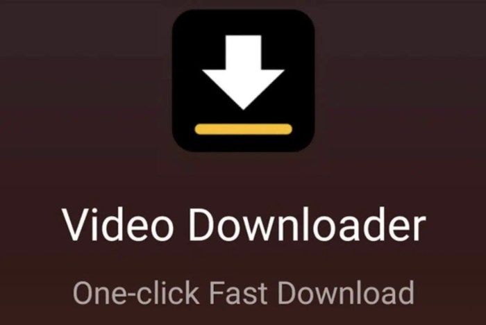 Downloader