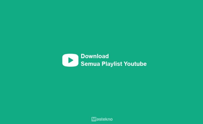 Download playlist youtube sekaligus
