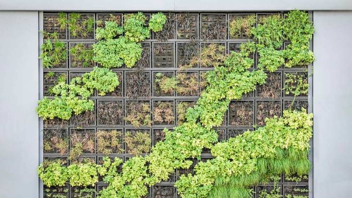 Vertical garden gardens wall gardening walls living diy privacy green plant outdoor drought tolerant jardin plants patio planter space greenlivingideas