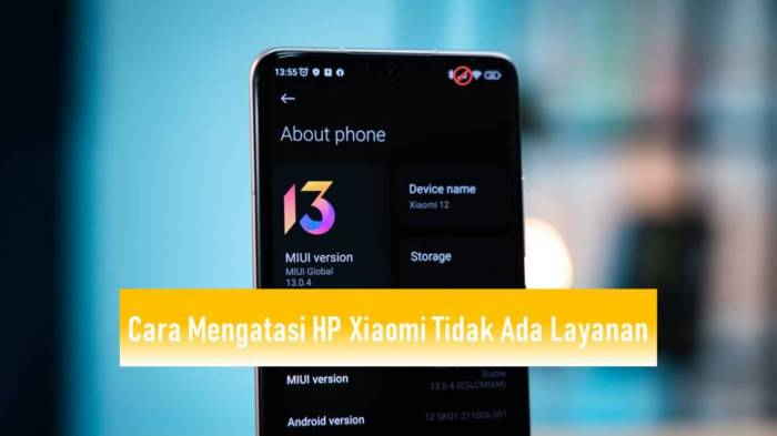 Cara mengatasi hp xiaomi tidak ada layanan