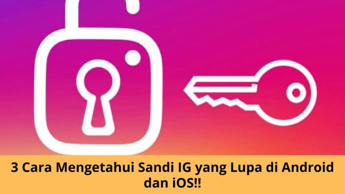 Cara mengetahui sandi ig orang lain