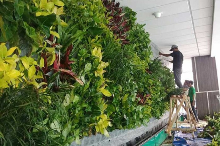 Tanaman vertical garden tahan panas