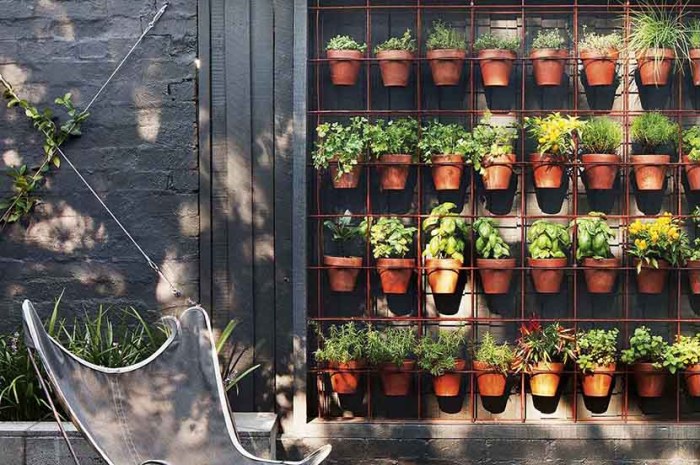 Tanaman vertical garden tahan panas