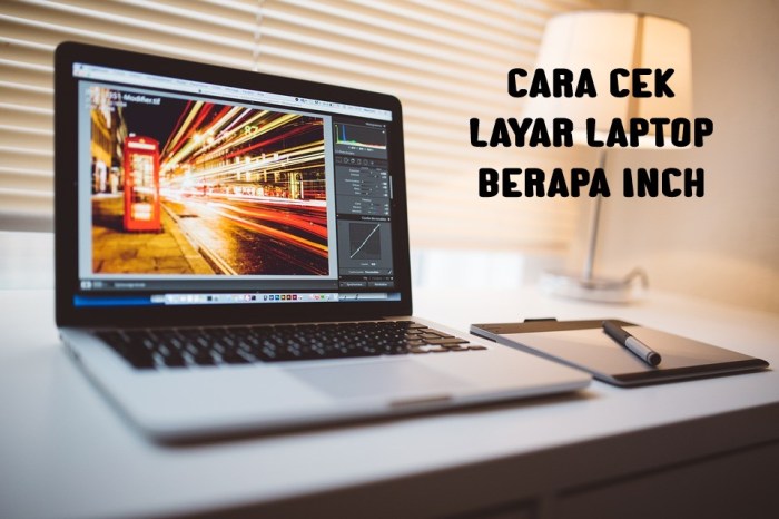 Macbook spesifikasi melihat secara layar